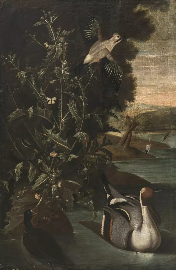 Carl Wilhelm de Hamilton. Waldbodenstillleben mit Vögeln, Schmetterlingen, Ringelnatter und Eidechse