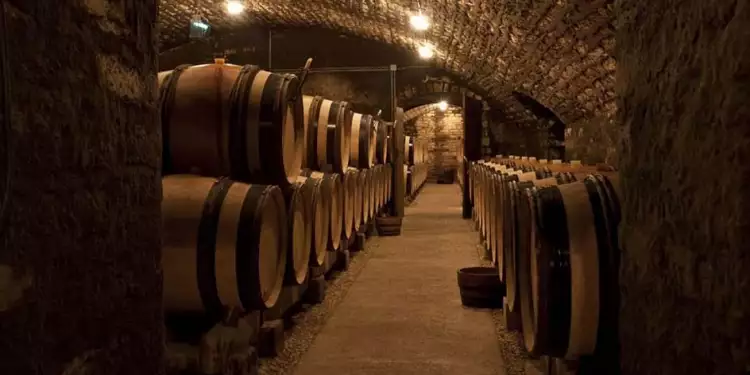 Коллекционное вино. Подвалы Domaine de la Romanée-Conti