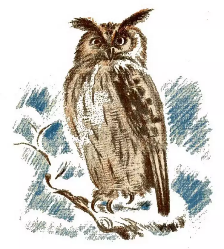 Николай Тырса. Иллюстрация к «Снежной книге» Пришвина, 1926