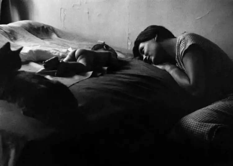 Семейная фотография. Эллиотт Эрвитт. «Мать и дитя», 1953