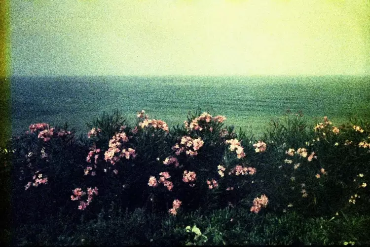 Ломография. Аурелио Лалони. «Без названия», 2021