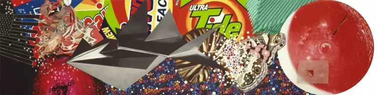 Джеймс Розенквист. Картина Masquerade of the Military Industrial Complex Looking Down on the Insect World, 1992