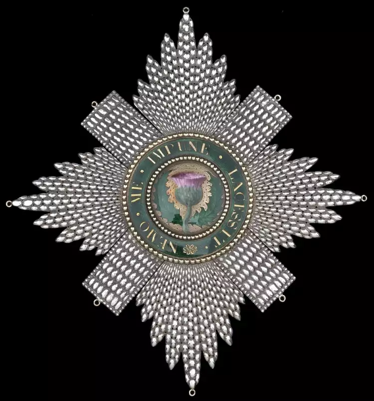 Орден Чертополоха. Звезда ордена Орден Чертополоха. Звезда ордена