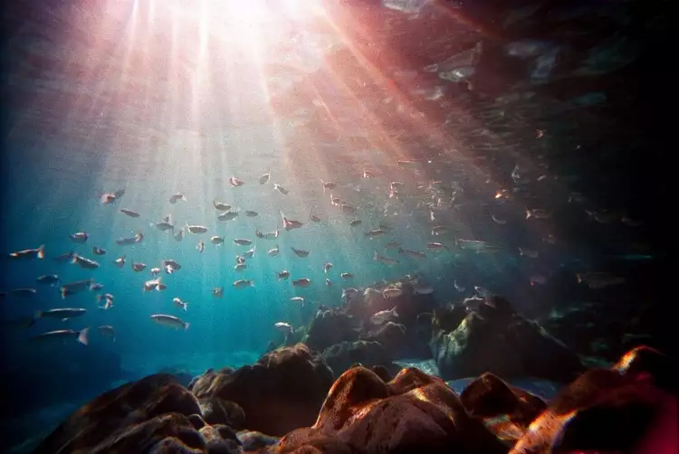 Ломография. Дэниэл Дженнсон. «Без названия», 2011