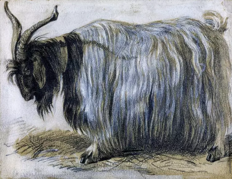 Василий Верещагин. «Козел», 1864-1865