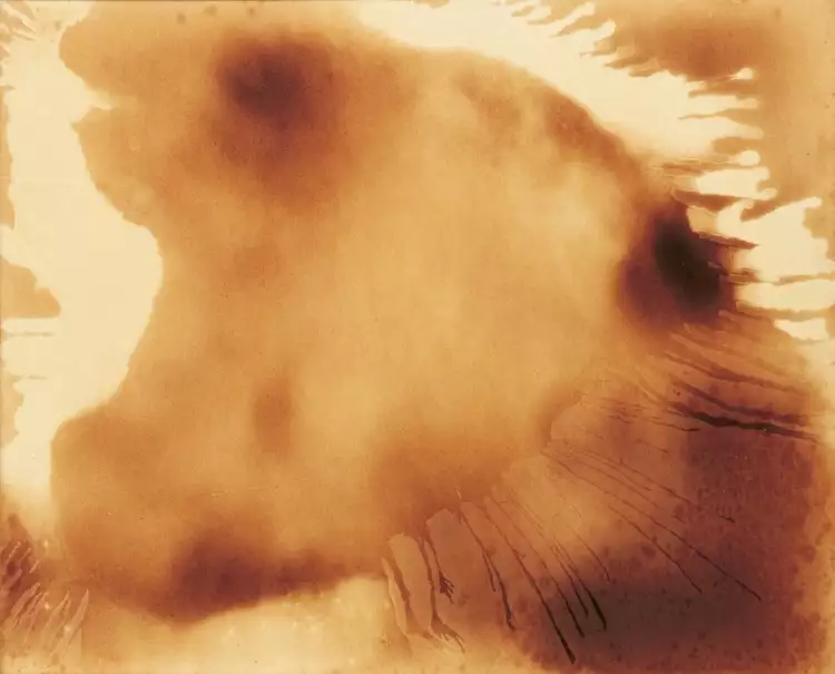 Ив Кляйн. Огненная живопись (F 119), 1962