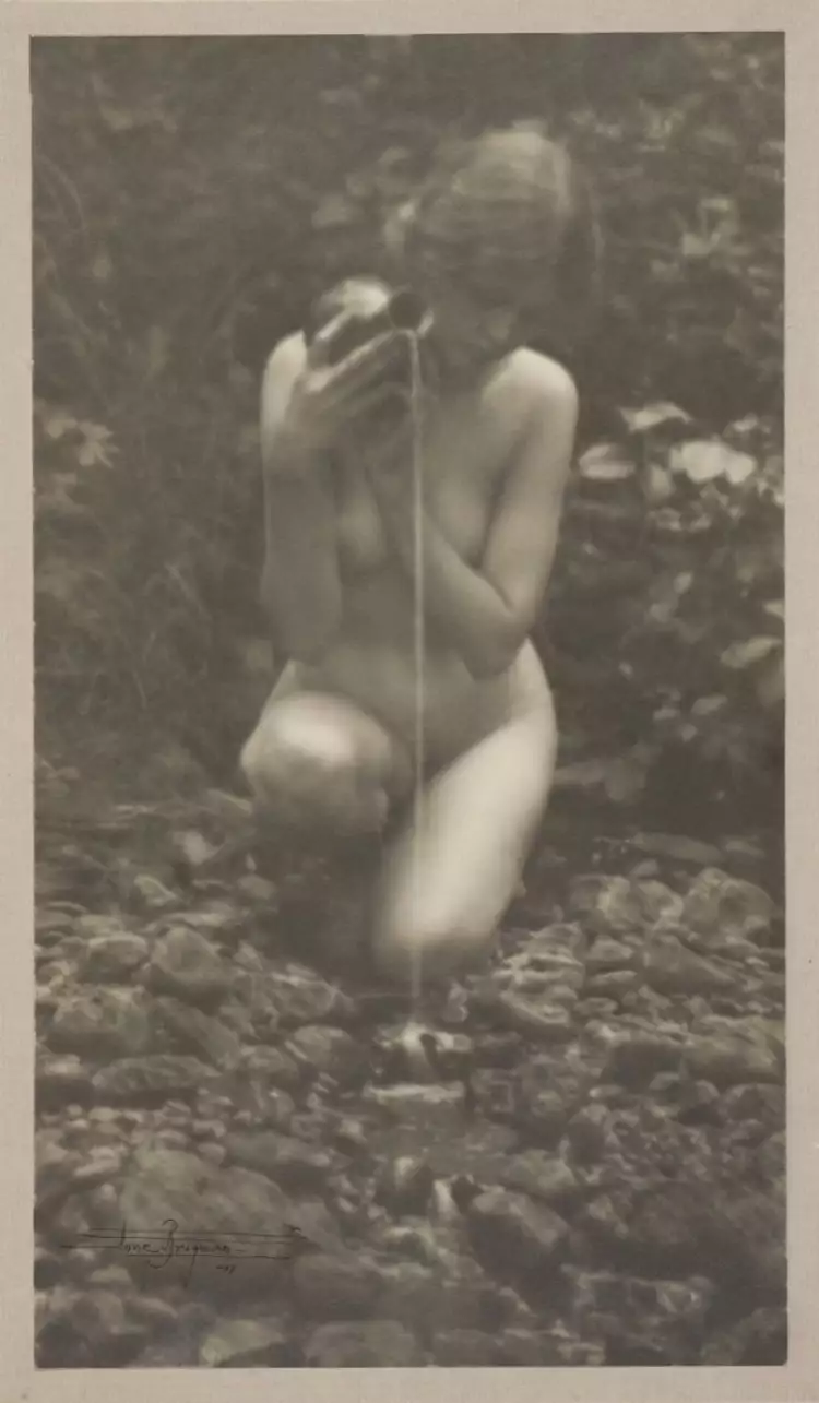 Источник, Энн Бригман