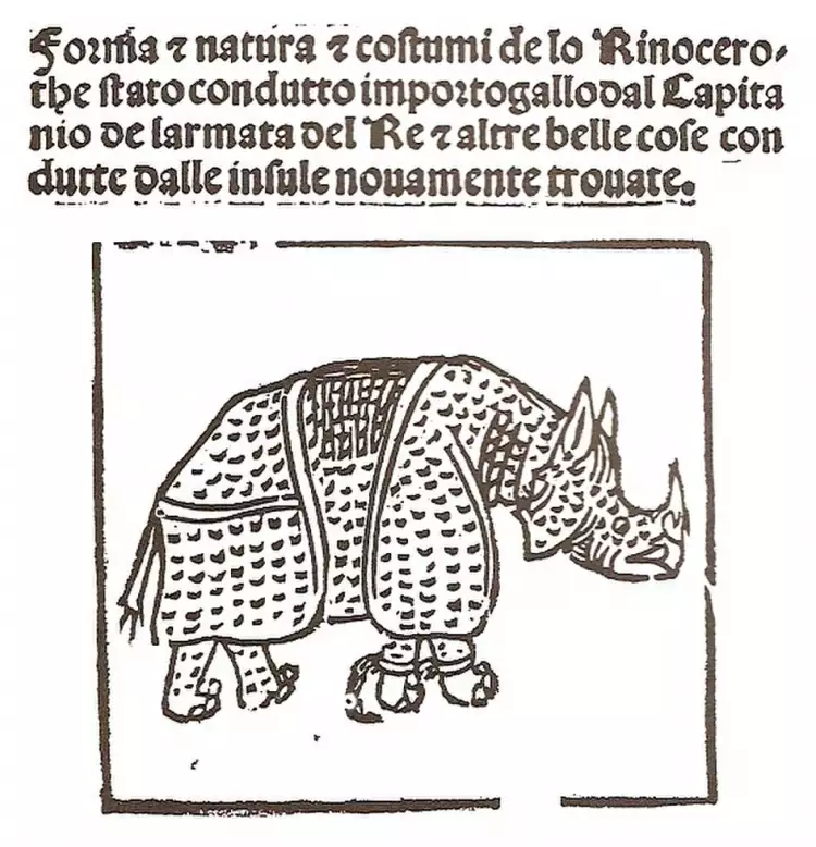 Albrecht Dürer. Unbekannter Künstler. Illustration Rhinocerus, 1515 Albrecht Dürer. Unbekannter Künstler. Illustration Rhinocerus, 1515