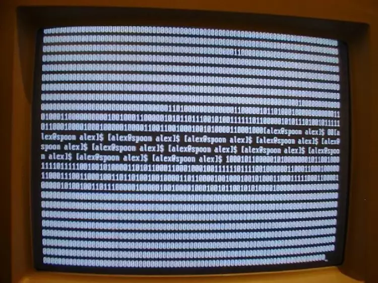 Программное искусство. Алекс Маклин, Работа forkbomb.pl, 2001 Программное искусство. Алекс Маклин, Работа forkbomb.pl, 2001