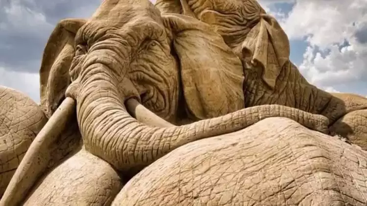 Скульптуры из песка. Слон из песка