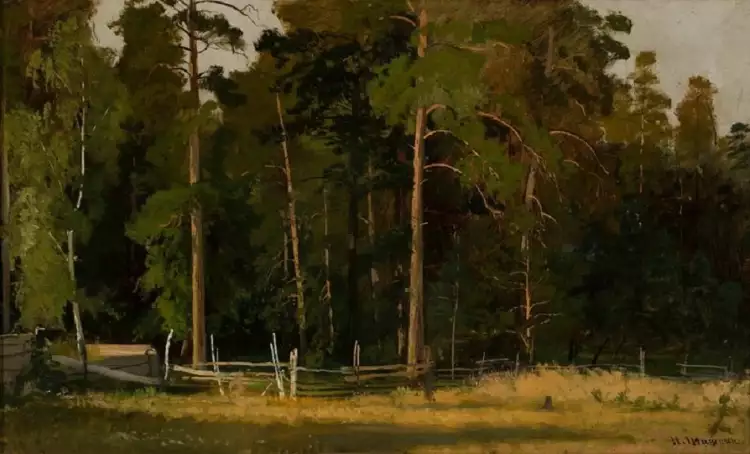Ivan Shishkin. Afanasievsky Mast-Tree Grove Near Yelabuga