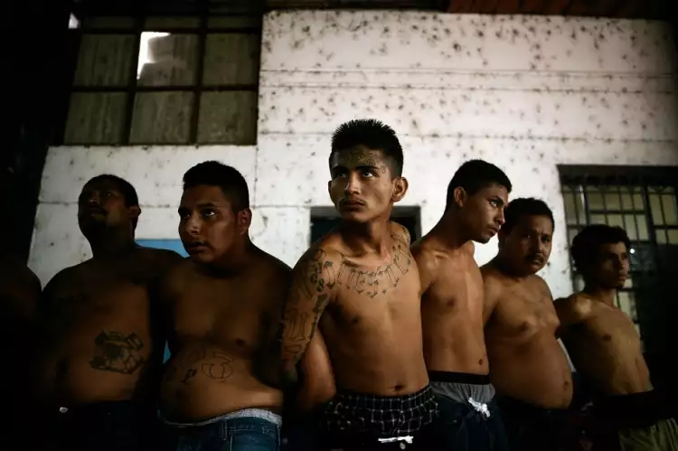 Фото Рона Хавива. Арест мексиканских наркобаронов