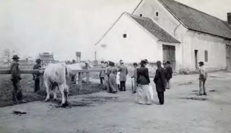 Gutsbesichtigung in Sárvár