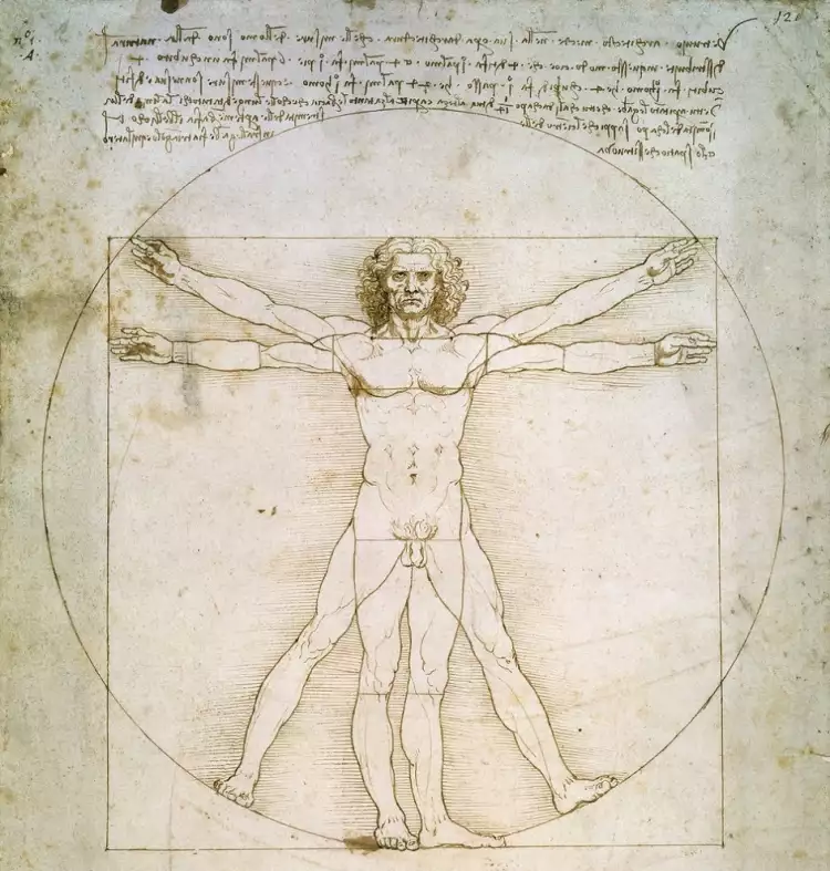 Renaissance. Leonardo da Vinci. Vitruvian Man, 1490 Renaissance. Leonardo da Vinci. Vitruvian Man, 1490