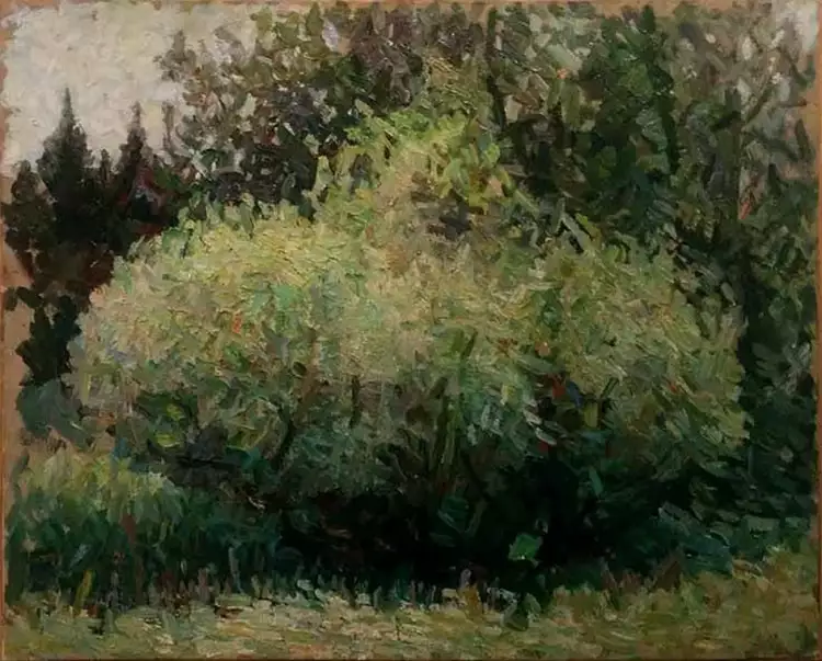 Вейсберг Владимир. Куст, 1947