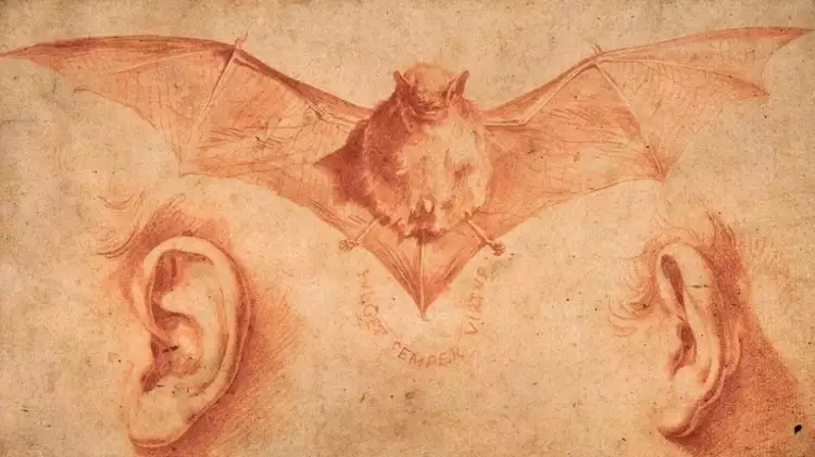 Хосе де Рибера. «Летучая мышь и два уха», начало 1620-х годов