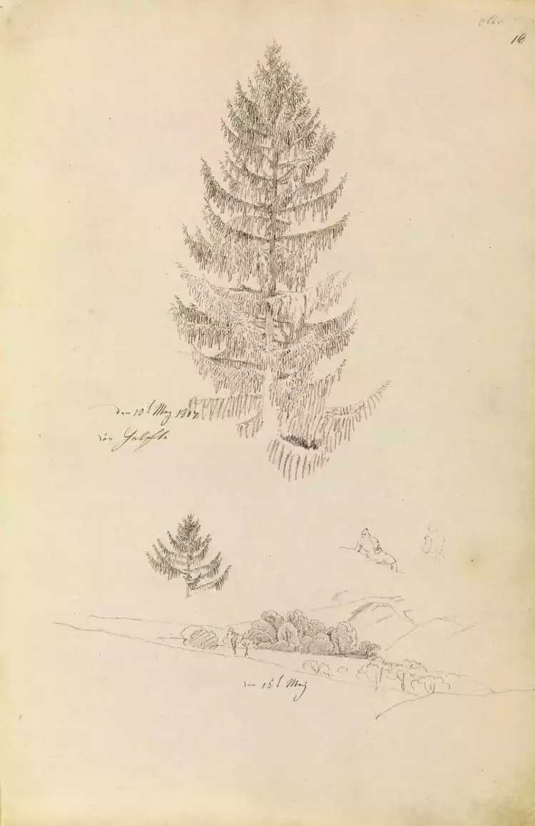 Caspar David Friedrich. Skizze Baum, 1807 Caspar David Friedrich. Skizze Baum, 1807