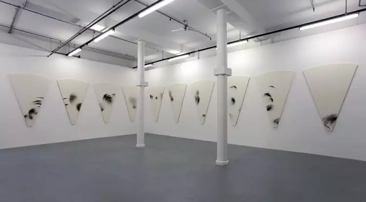 Абстракции Тима Ноулза. Рисунки плакучей ивы на выставке