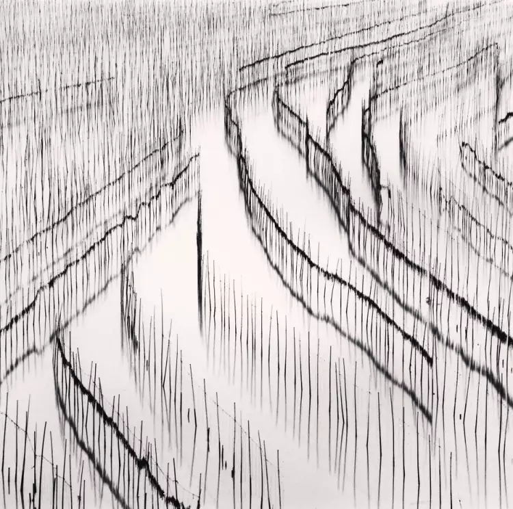 Пейзаж в фотографии. Майкл Кенна «Фермы по выращиванию морских водорослей в Китае», 2010