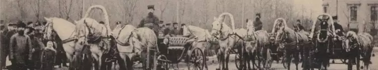 Семнадцатый и восемнадцатый аукционы Жар-Птицы в Москве