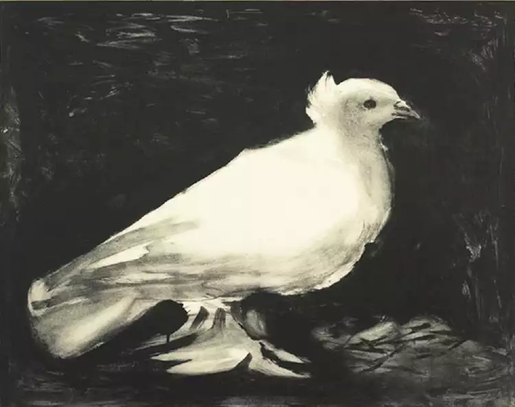 Pablo Picasso. Pigeon Picasso, 1949