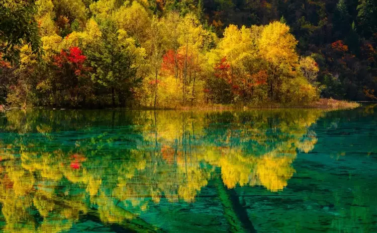 Пейзаж в фотографии. Дэвид Кеохкерян «Осенние деревья у озера», XXI век