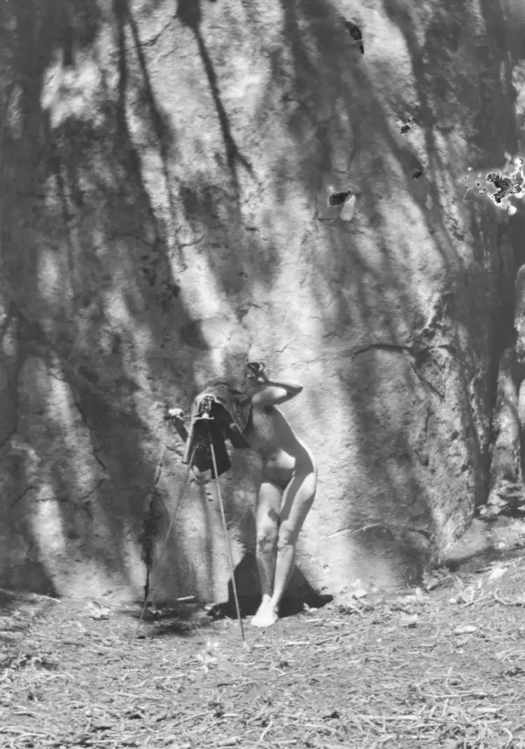 Автопортрет, Энн Бригман