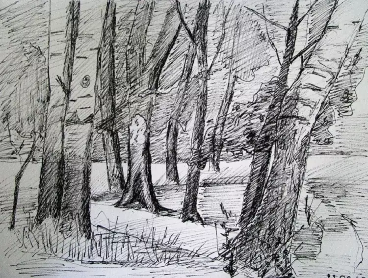 Зарисовка с натуры. Зарисовка пейзажа