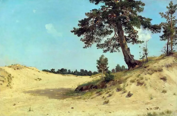 Иван Шишкин. Картина «Сосна на песке», 1884
