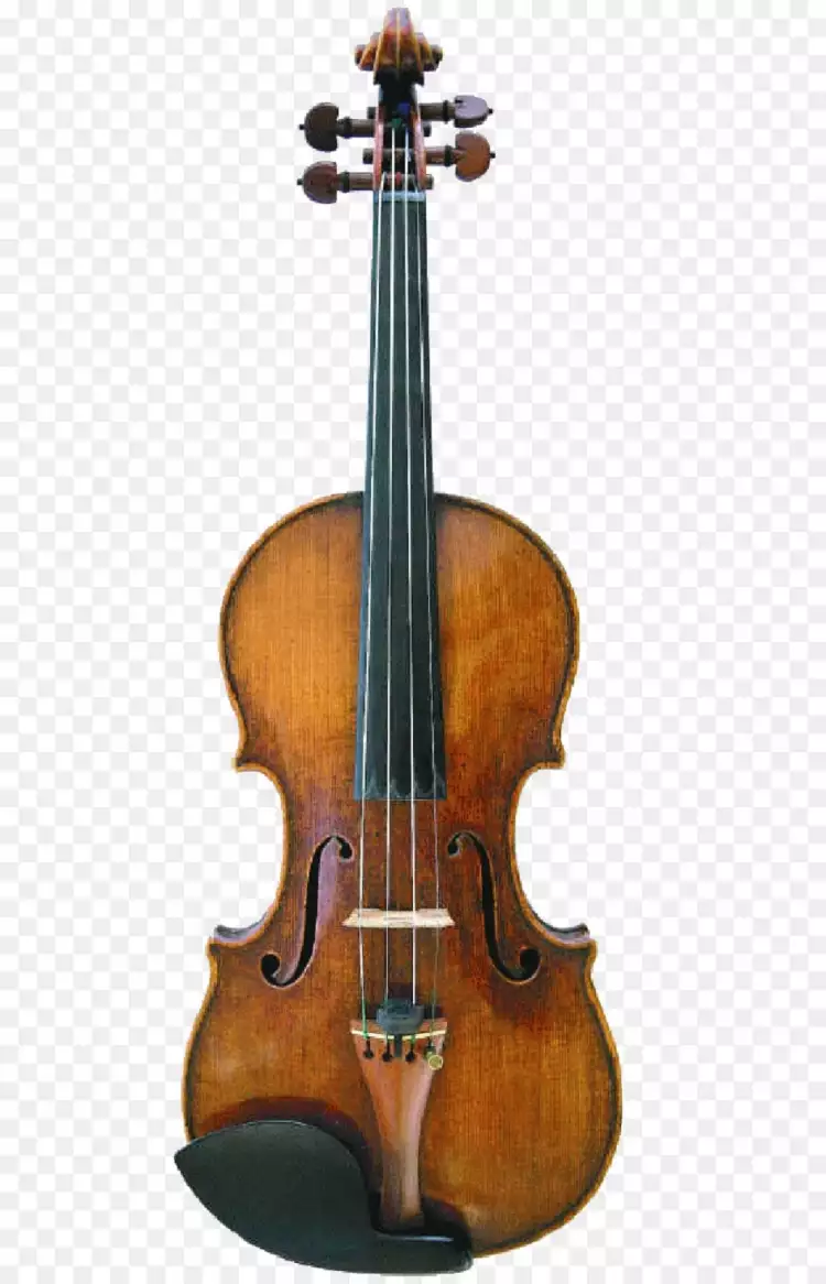 Самые дорогие вещи знаменитостей. Скрипка «Леди Блант» Самые дорогие вещи знаменитостей. Скрипка «Леди Блант»