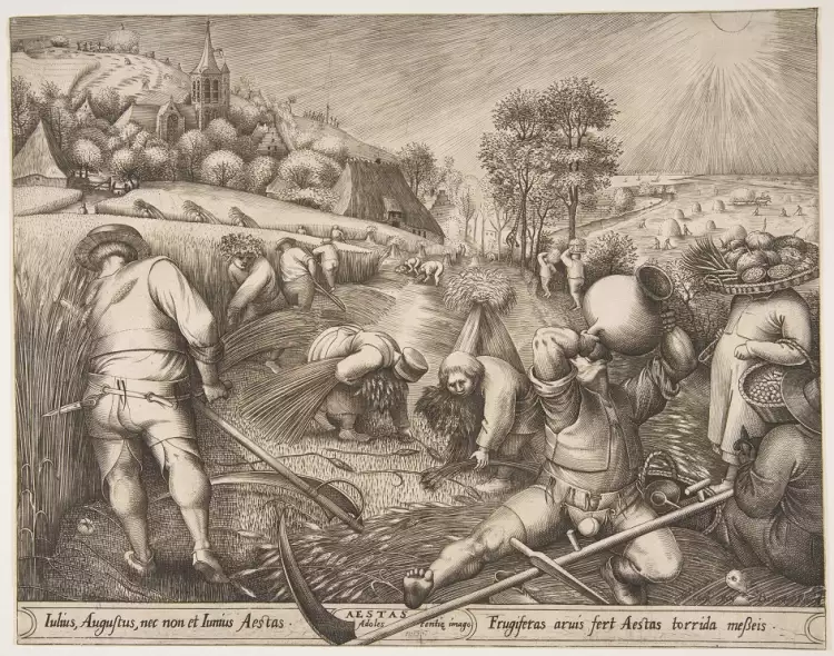 Рисунок. Питер Брейгель Старший. «Лето», 1568 Рисунок. Питер Брейгель Старший. «Лето», 1568