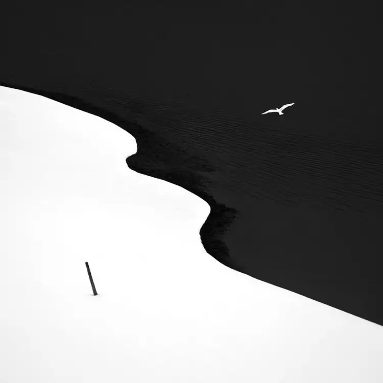 Черно-белая фотография. Патрик Эмс. «Между чёрным и белым»