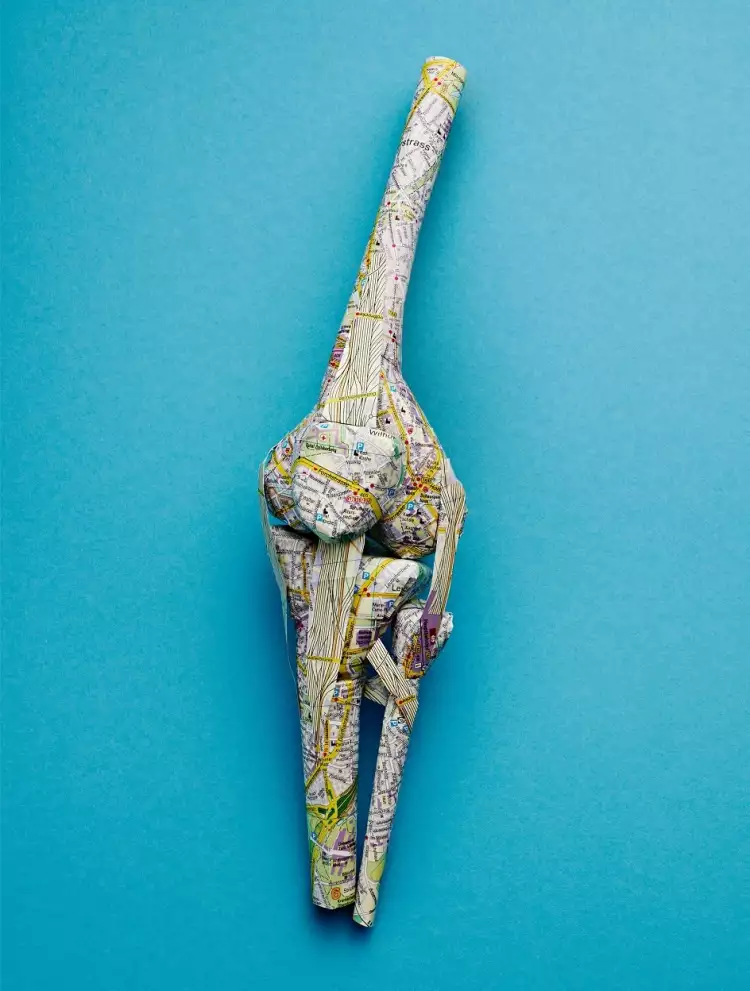 Катрин Родегаст. Кости и суставы Катрин Родегаст. Кости и суставы