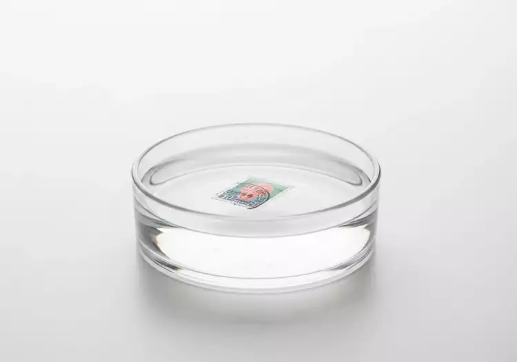 Процесс отмачивания почтовой марки от конверта