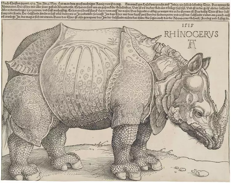 Albrecht Dürer. Radierung Rhinocerus, 1515 Albrecht Dürer. Radierung Rhinocerus, 1515
