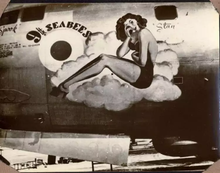 Pin-Up, или пин ап. Пин-ап на бомбардировщике Pin-Up, или пин ап. Пин-ап на бомбардировщике