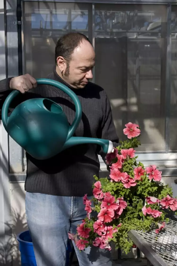 Петуньи Эдуардо Каца