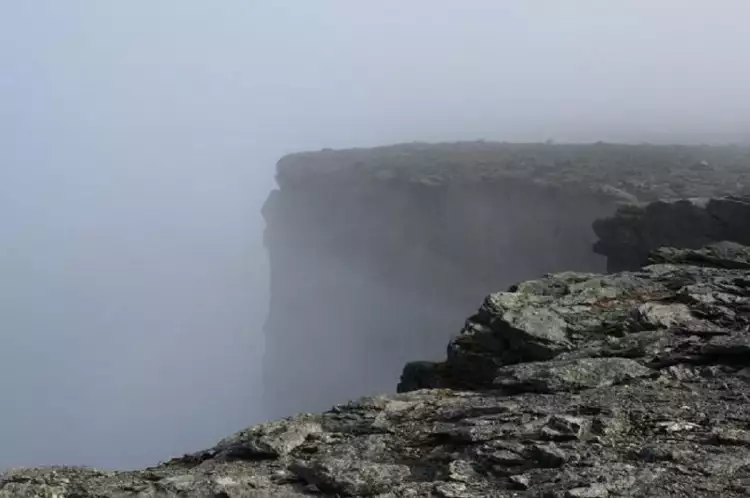 Суицид художников Суицид художников