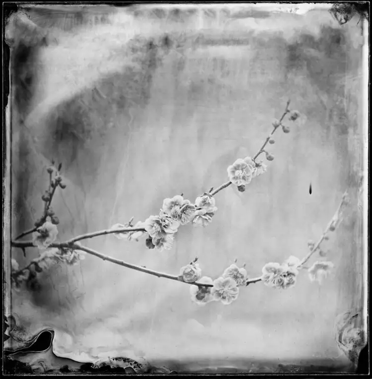 Фотографии в стиле ретро. Фото Эверетта Кеннеди Брауна