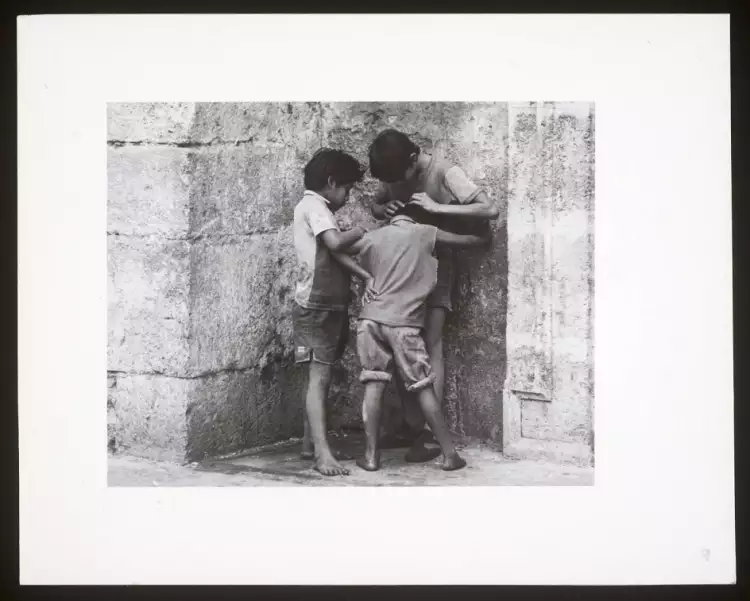 Фотография Д. Войнарович Фотография Д. Войнарович