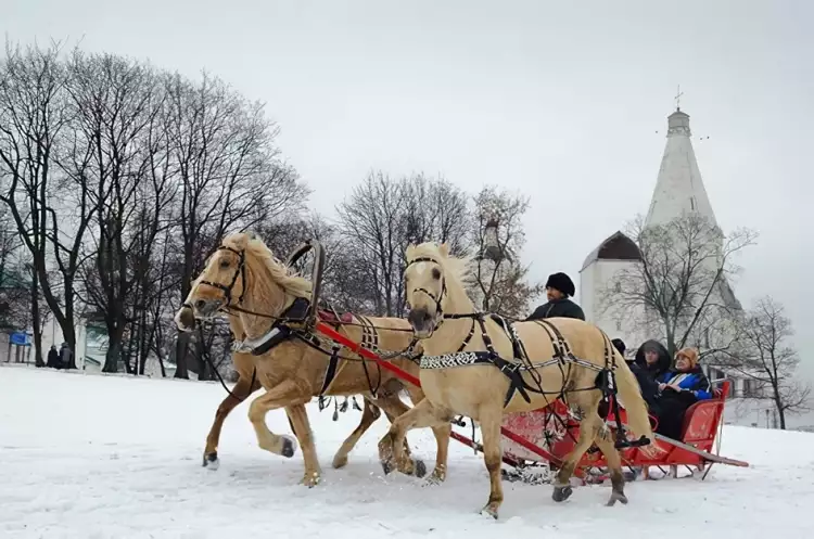Зима в музее-заповеднике «Коломенское» и усадьбе «Измайлово». Катание в санях