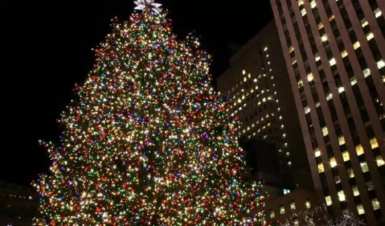 Самые необычные и красивые елки мира. Елка в Нью-Йорке