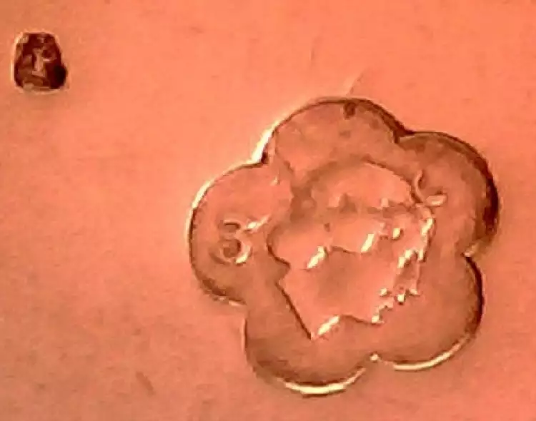 Клейма на серебряных изделиях Италии. Официальное клеймо для серебра 800-й пробы образца 1872 года Клейма на серебряных изделиях Италии. Официальное клеймо для серебра 800-й пробы образца 1872 года