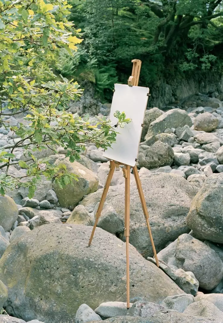 Абстракции Тима Ноулза. Дуб рисует