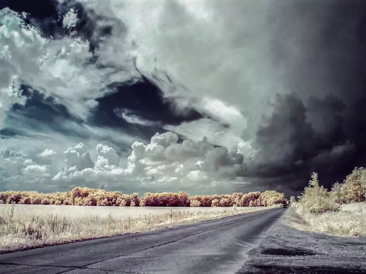 Инфракрасная фотография. Марцин Носаль. «Без названия»