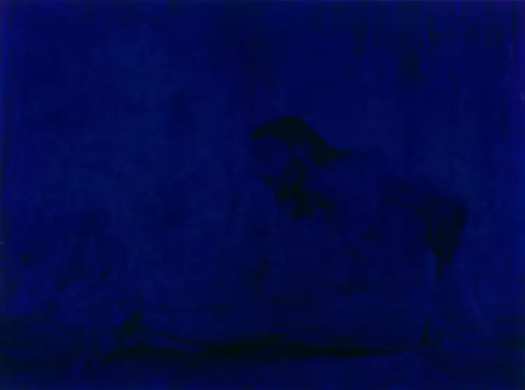 Ян Фабр. «Появление и исчезновение Христа I» (2016, синяя шариковая ручка Bic, пленка)