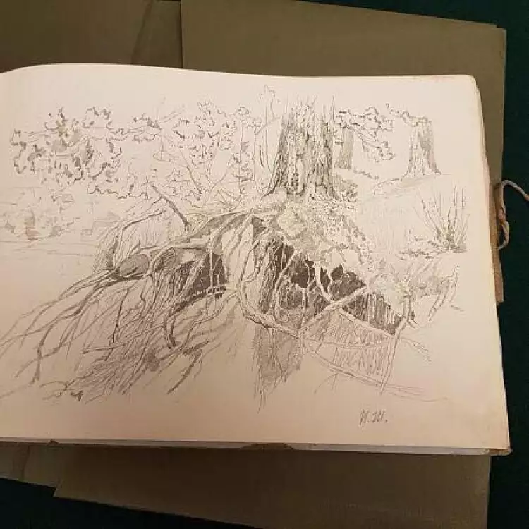 рисунок Лагоды-Шишкиной