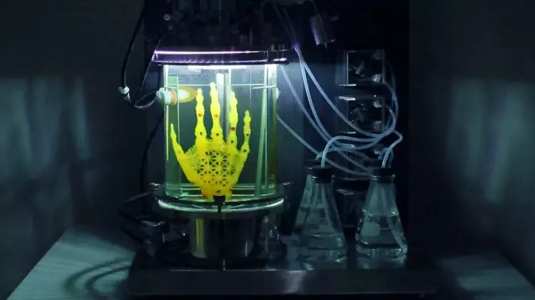 «Регенерирующая гробница». Скульптура био-арт от Эми Карли