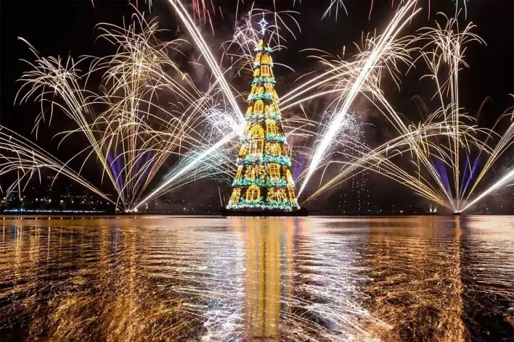 Самые необычные и красивые елки мира. Елка в Рио-де-Жанейро