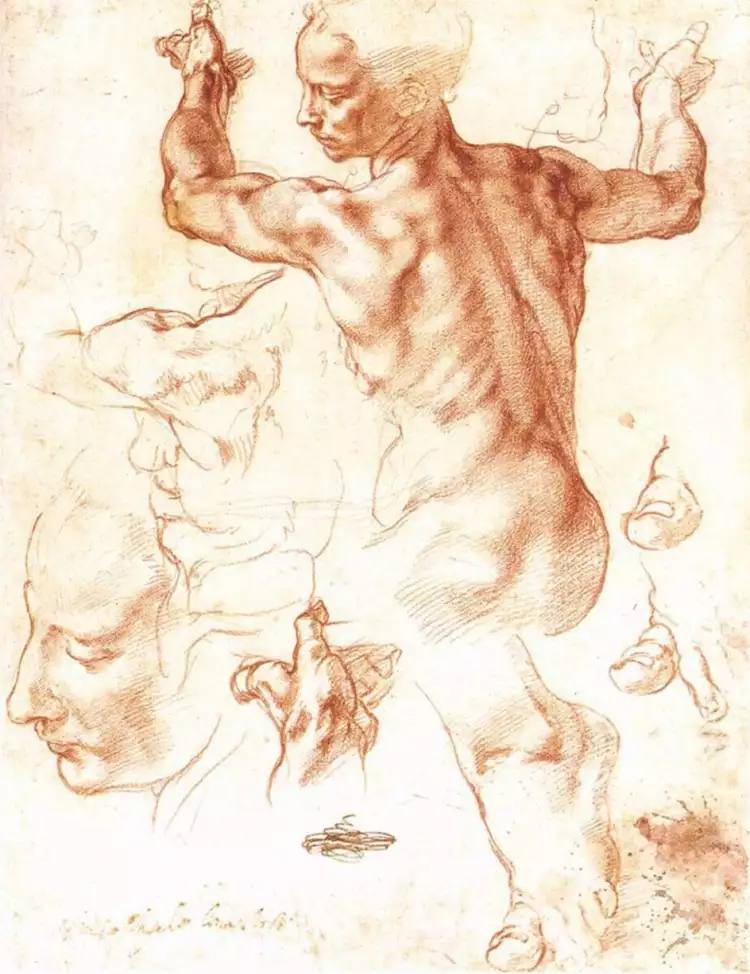 Графика. Микеланджело. «Эскиз», 1508 Графика. Микеланджело. «Эскиз», 1508